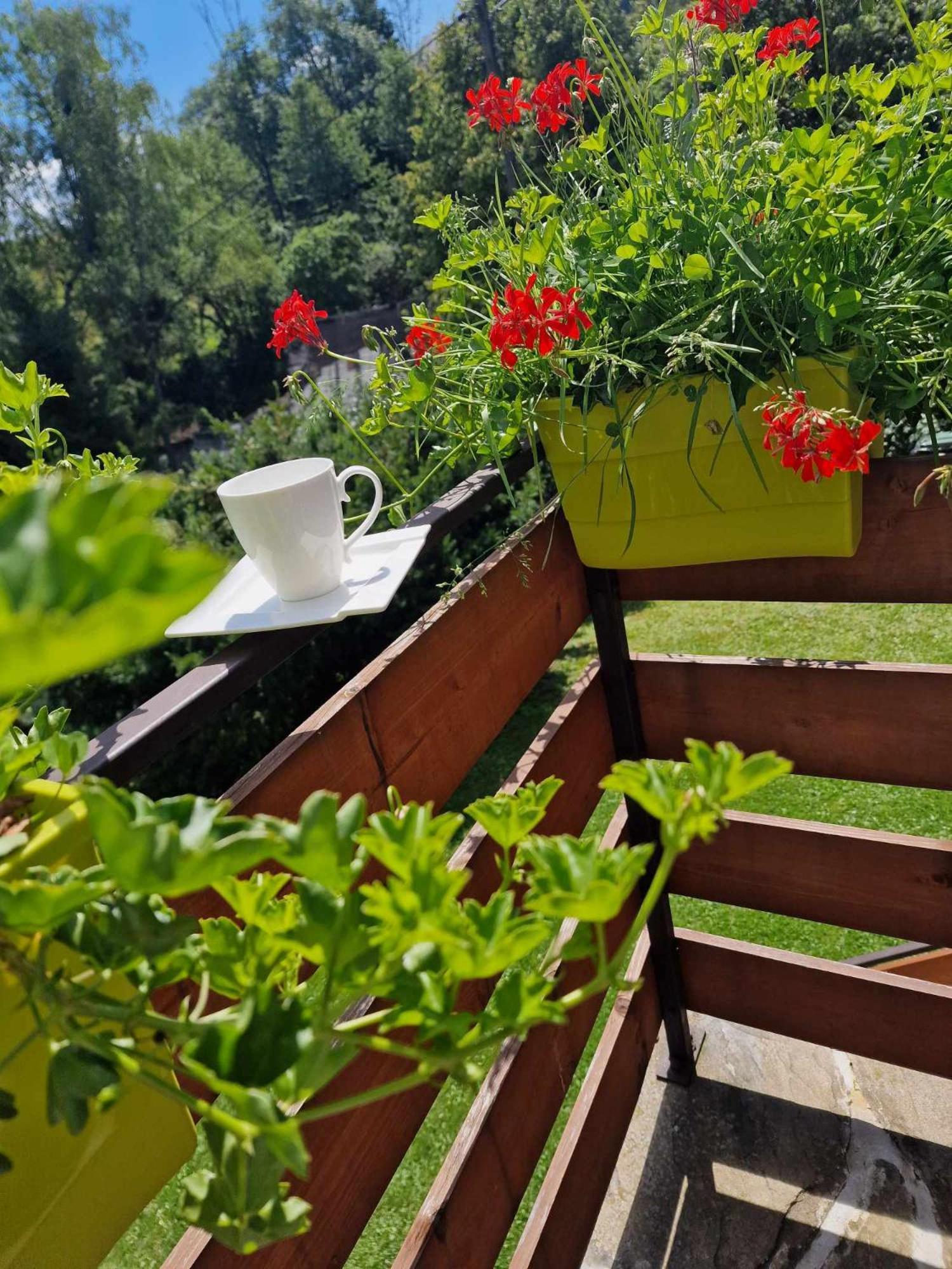 Apartment Lochowka - Zaciszny W Gorach *